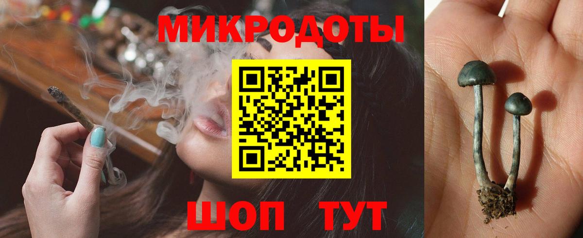 Галлюциногенные грибы Magic Shrooms Реутов