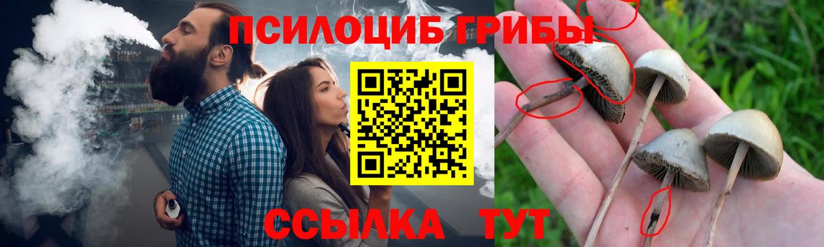 Реутов  Галлюциногенные грибы Psilocybe  Псилоцибиновые грибы GOLDEN TEACHER  Вход с VPN 